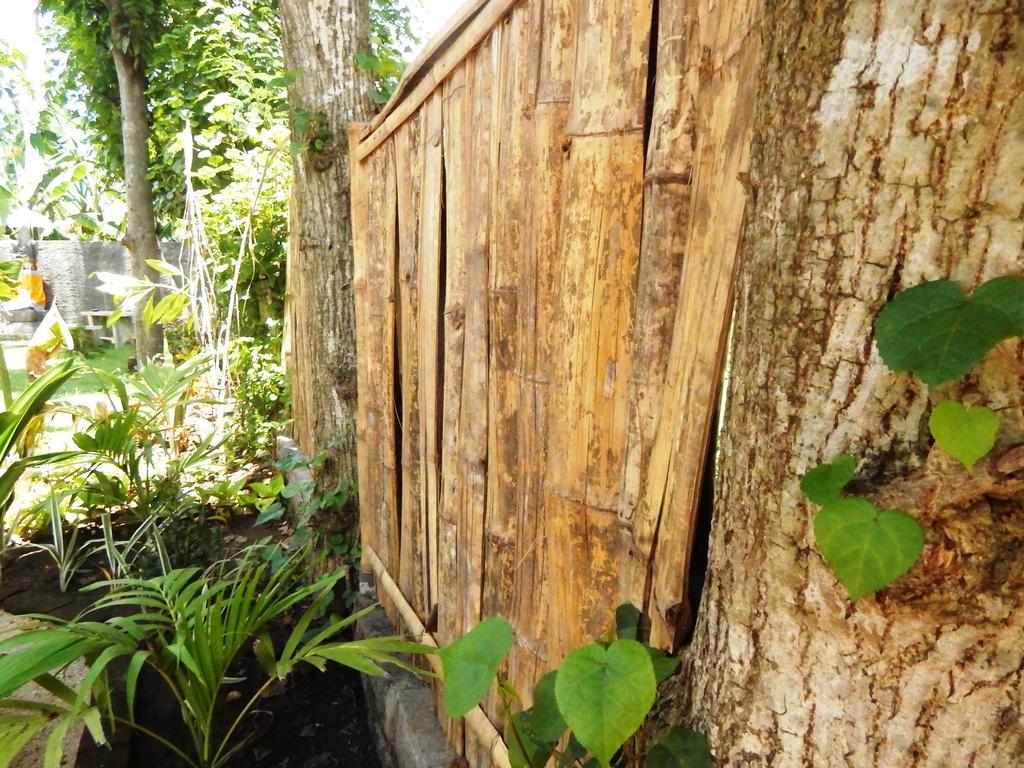Sudi Guest House Pemuteran Exteriér fotografie